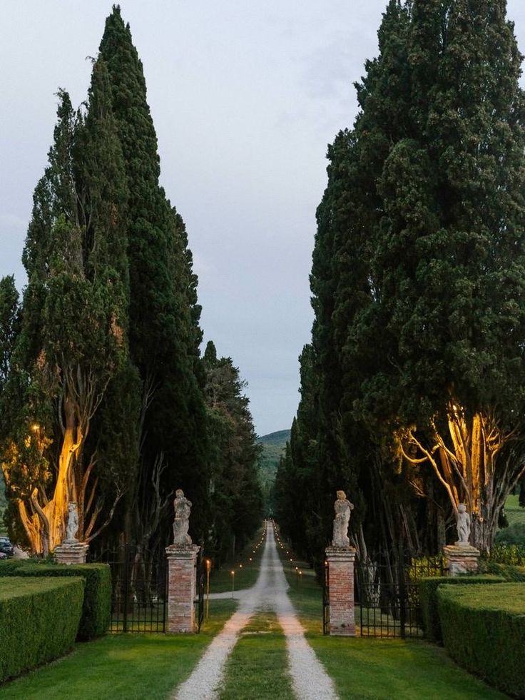 Italy, Tuscany - Cypress Estate, Old Money