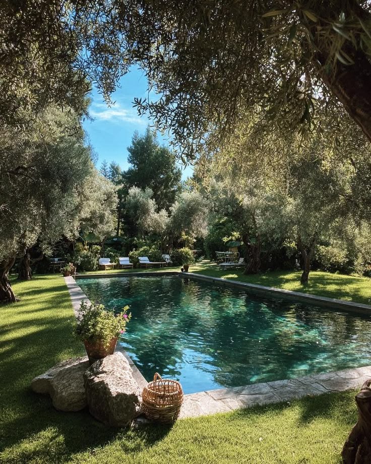 Italy, Tuscany - Olive Grove Estate, Natural Luxury