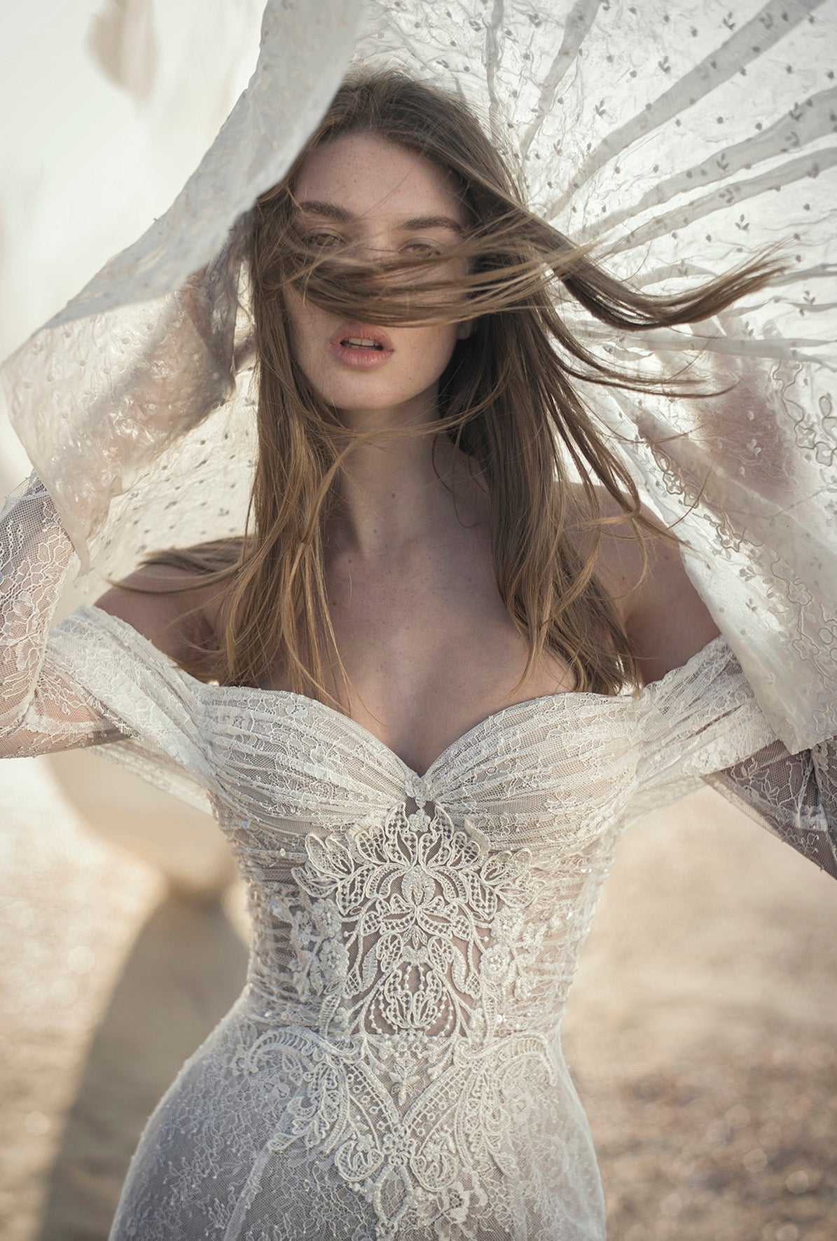 Alon Livne White - Elena