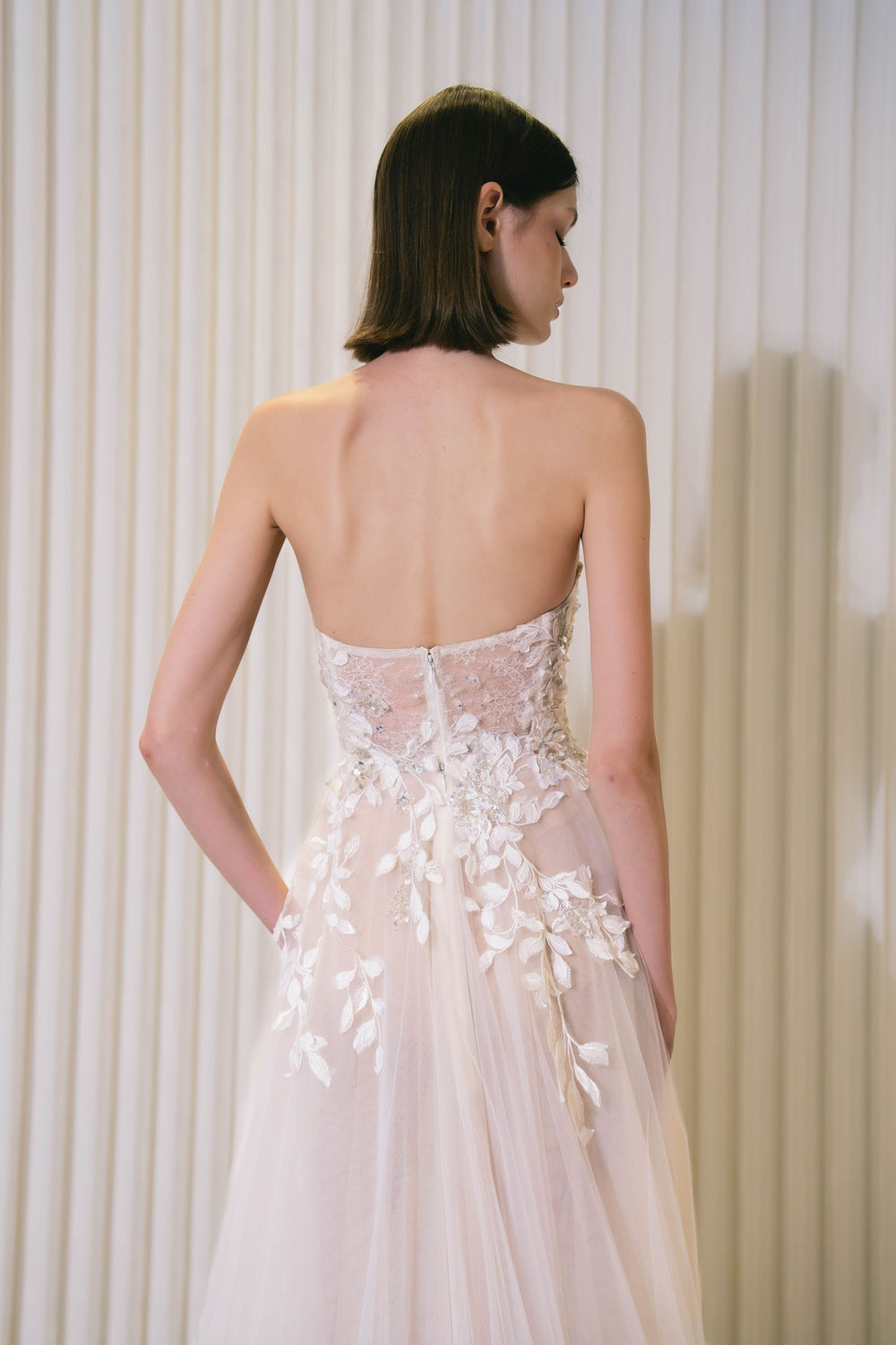 BACK View