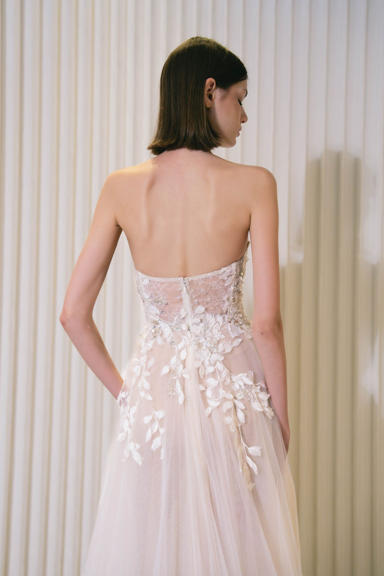 BACK View