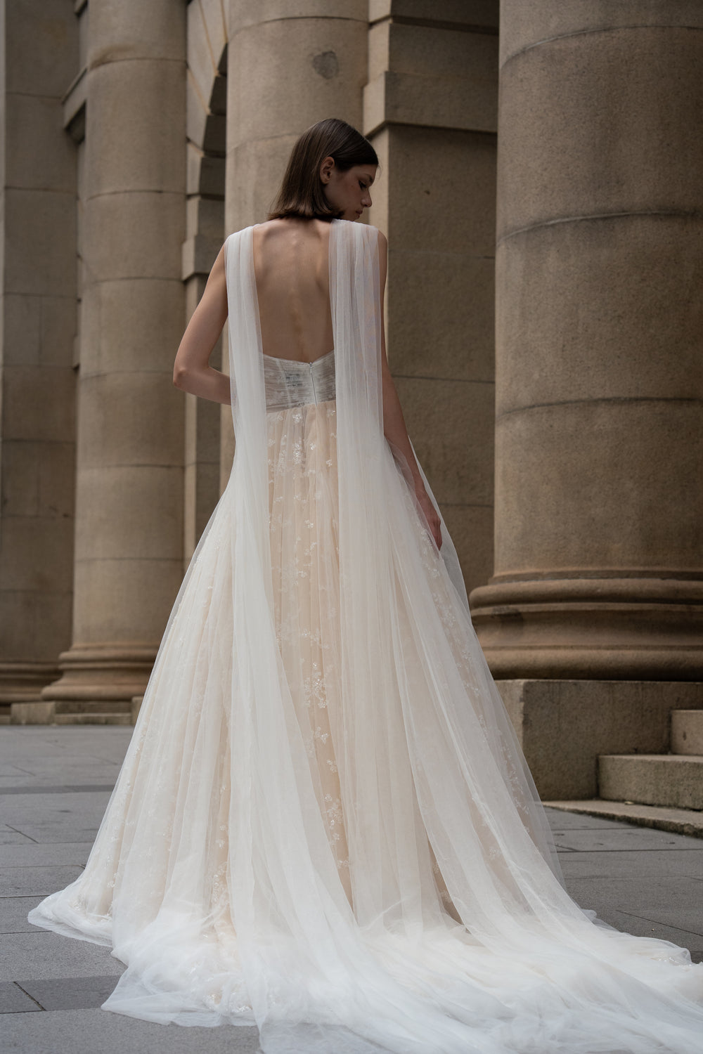 Back View