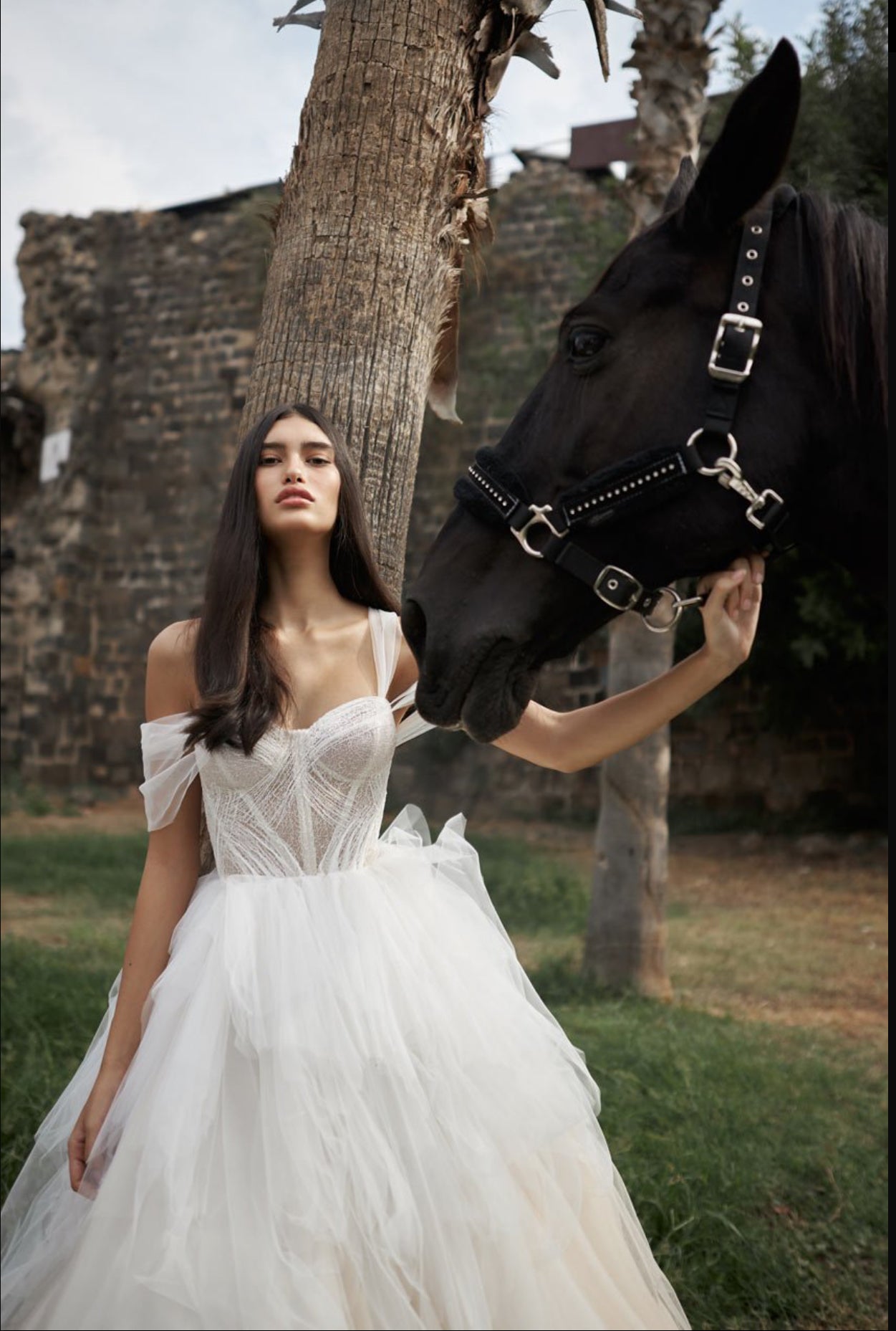 Inbal Dror - Violetta