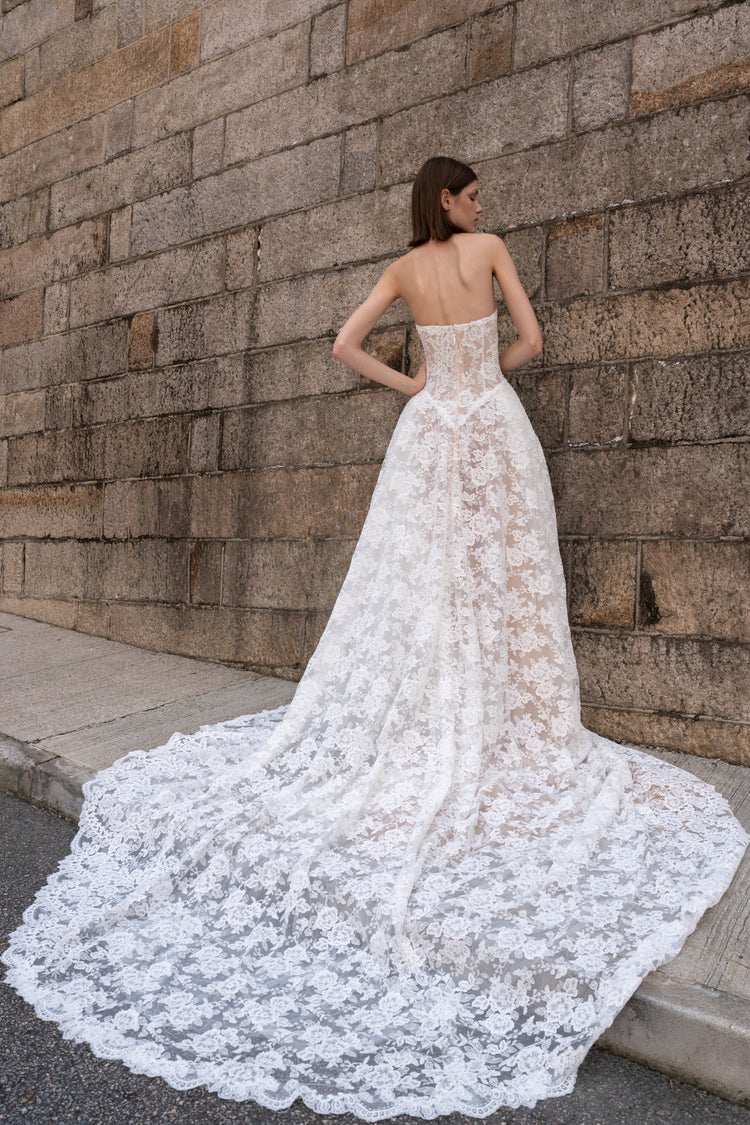 BACK VIEW 