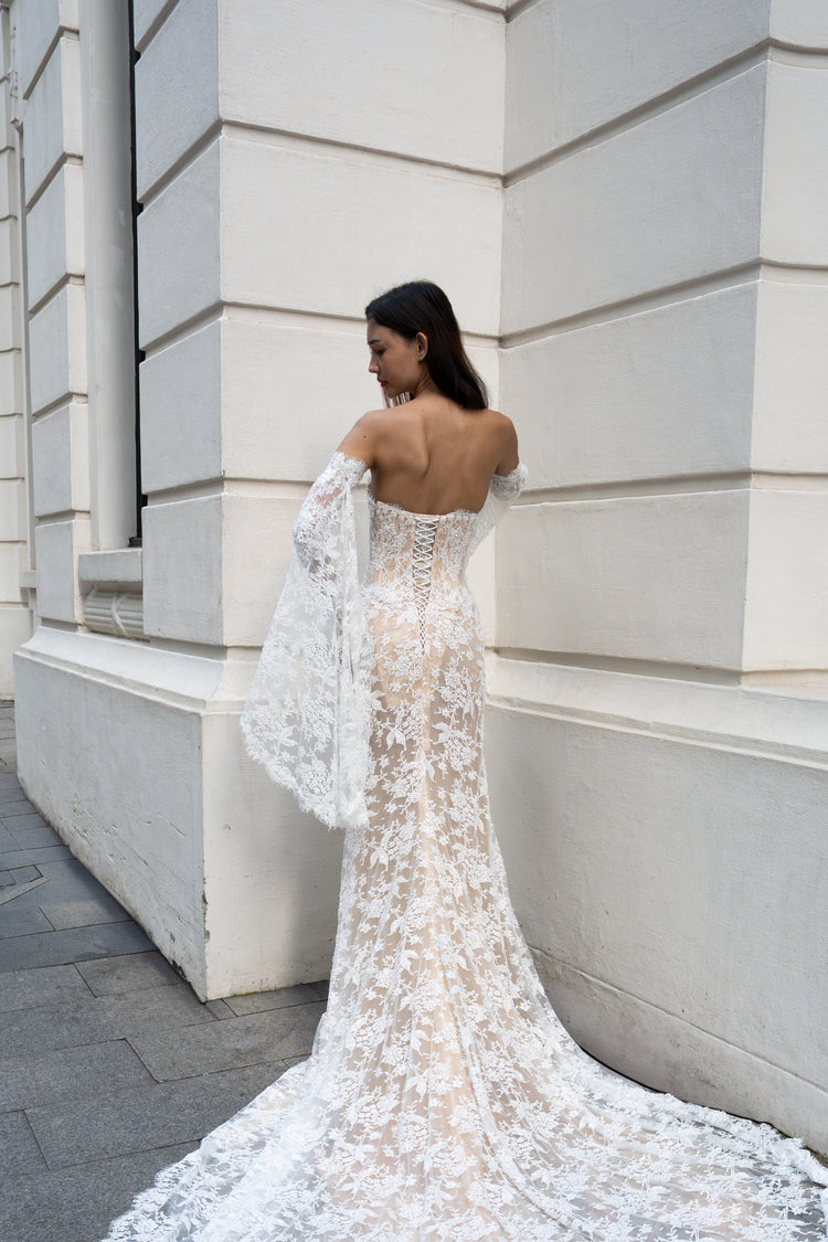Back View