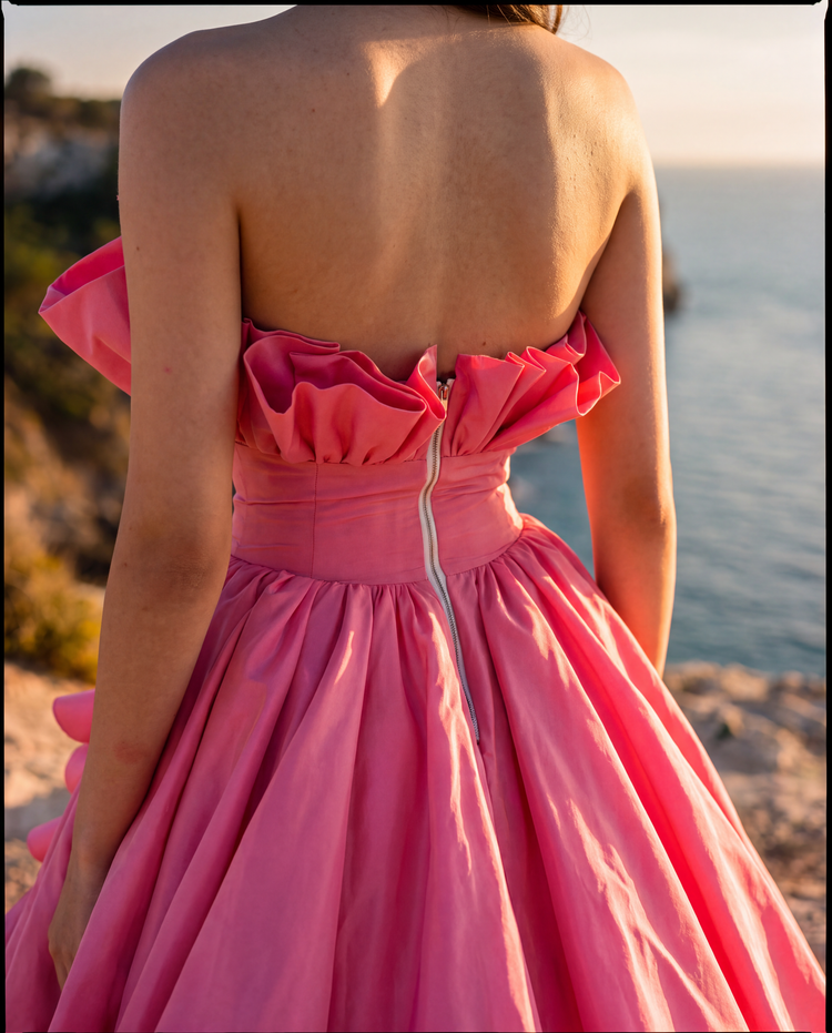 BACK VIEW
