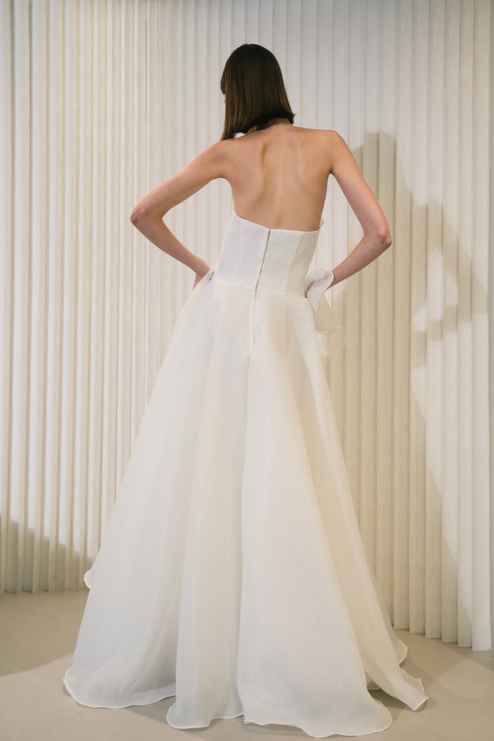 BACK VIEW